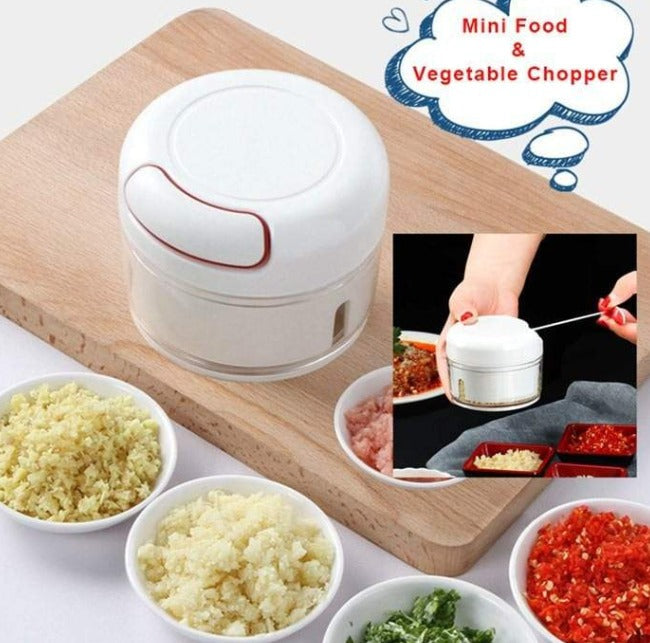 Mini Fast Food Chopper